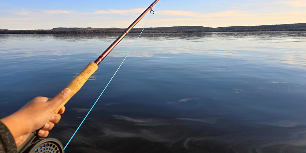 Fresh Off the Lake: What Salmon Fishing Taught Me About Finding the Right Audience